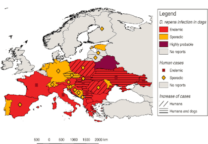 map-showing-the-current-distribution-of-dirofilaria-repens-in-dogs-and-humans-in-europe-6.png